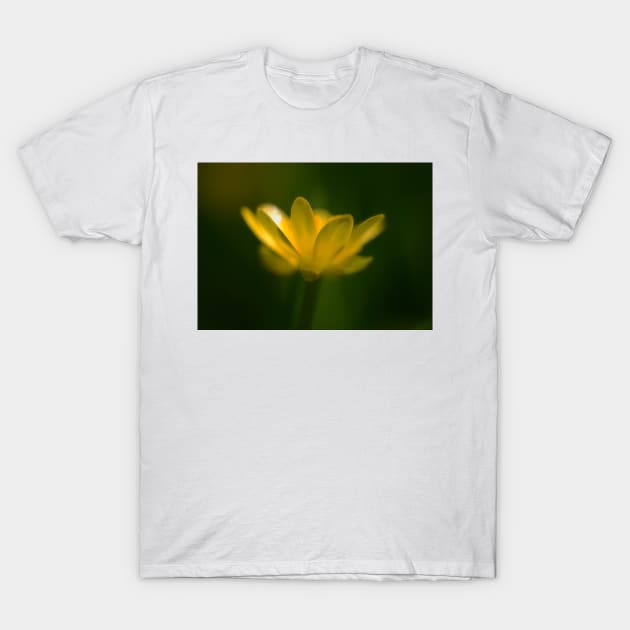 Buttercup T-Shirt by Nigdaw